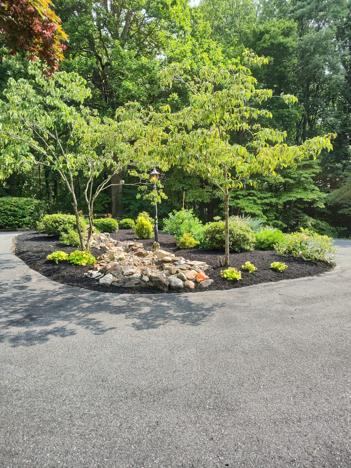 Jhovany´s Tree and Landscaping