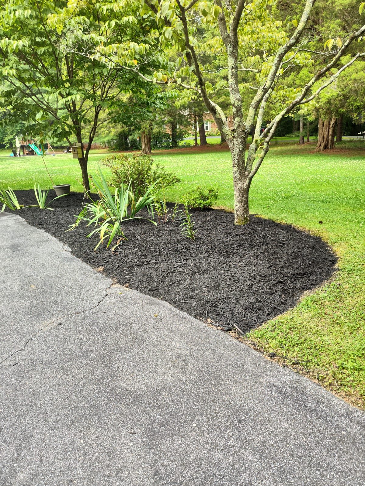 Jhovany´s Tree and Landscaping